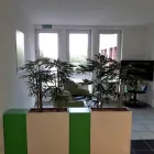 Unternehmen 4 Bild SANDRA KOLL VERSICHERUNGSMAKLERIN Versicherung am Wegberg NW