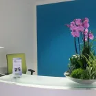 Unternehmen 5 Bild SANDRA KOLL VERSICHERUNGSMAKLERIN Versicherung am Wegberg NW