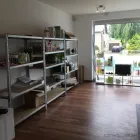 Unternehmen 3 Bild SCHABENBEKÄMPFUNG - BÖNNINGSTEDT - SCHÄDLINGE - SHOP | OEKOKIL Service & Dienstleistung am Bönningstedt SH