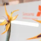 Unternehmen 6 Bild SENZERA Produktion und Vertrieb von Kosmetik, Körperpflegeartikel am Karlsruhe BW