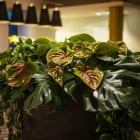 Unternehmen 49 Bild SHERATON DUESSELDORF AIRPORT HOTEL Veranstaltungen & Messen am Duesseldorf