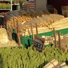 Unternehmen 5 Bild SOMNITZ-FRÜCHTE Supermärkte & Discounter am Stuttgart BW