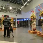 Unternehmen 4 Bild SSG SECURITY GMBH Wach-Schliessgesellschaften am Gosen-Neu Zittau BB