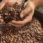 Unternehmen 3 Bild TCHIBO FILIALE Textil, Bekleidung Einzelhandel am Gelsenkirchen NW