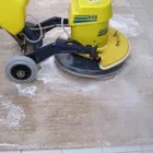 Unternehmen 22 Bild TEPPICHWÄSCHEREI UND KUNSTKNÜPFEREI WERNER HEYDUCK Teppichreinigung, Polstermöbelreinigung am Köln NW