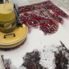 Unternehmen 44 Bild TEPPICHWÄSCHEREI UND KUNSTKNÜPFEREI WERNER HEYDUCK Teppichreinigung, Polstermöbelreinigung am Köln NW