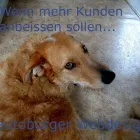 Unternehmen 1 Bild TEUTOBURGER WEBDESIGN Webdesigner am Lengerich NW