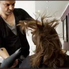 Unternehmen 11 Bild THEIBACH HAIRSTYLE KÖLN Produktion und Vertrieb von Kosmetik, Körperpflegeartikel am Köln NW