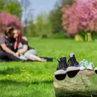 Unternehmen 8 Bild THROUGH THE LENS Tv, Hi-Fi, Film, Foto, Dienstleistungen am Essen NW