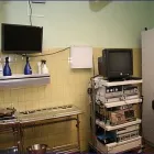 Unternehmen 3 Bild TIERÄRZTLICHE KLEINTIERKLINIK DR. ADALBERT HERRMANN Ärzte am Mönchengladbach NW