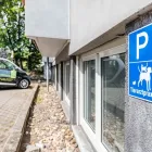 Unternehmen 11 Bild TIERARZTPRAXIS AM AACHENER WEIHER Ärzte am Köln NW