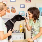 Unternehmen 4 Bild TIERARZTPRAXIS AN DEN POLLER WIESEN DR. MED. VET. MAJA RÜHLING | KÖLN Ärzte am Köln NW