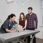 Unternehmen 1 Bild TIERARZTPRAXIS DOC OPP - DR. MED. VET. VERENA OPP Ärzte am Essen NW