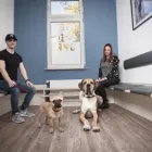 Unternehmen 3 Bild TIERARZTPRAXIS DOC OPP - DR. MED. VET. VERENA OPP Ärzte am Essen NW