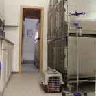 Unternehmen 6 Bild TIERGESUNDHEITSZENTRUM DR. MATHIAS LITSCH Ärzte am Wiesbaden HE