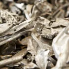Unternehmen 6 Bild TSR RECYCLING GMBH & CO. KG // NIEDERLASSUNG BERLIN NEUKÖLLN Service & Dienstleistung am Berlin BE