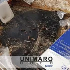Unternehmen 1 Bild UNIMARO TATORTREINIGUNG Wohnungsauflösungen am Bielefeld NW