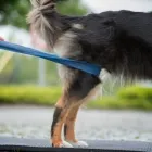 Unternehmen 4 Bild VITALITÄT IM POTT Ärzte am Gelsenkirchen NW