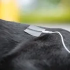 Unternehmen 5 Bild VITALITÄT IM POTT Ärzte am Gelsenkirchen NW