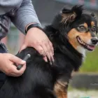 Unternehmen 1 Bild VITALITÄT IM POTT Ärzte am Gelsenkirchen NW