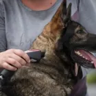 Unternehmen 6 Bild VITALITÄT IM POTT Ärzte am Gelsenkirchen NW