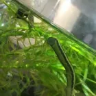 Unternehmen 7 Bild VITALITÄT IM POTT Ärzte am Gelsenkirchen NW