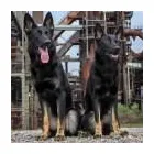 Unternehmen 8 Bild VITALITÄT IM POTT Ärzte am Gelsenkirchen NW