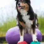 Unternehmen 3 Bild VITALITÄT IM POTT Ärzte am Gelsenkirchen NW