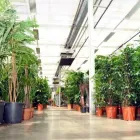 Unternehmen 2 Bild WESSELING GMBH Produktion und Vertrieb von Pflanzen am Köln NW