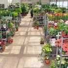 Unternehmen 3 Bild WESSELING GMBH Produktion und Vertrieb von Pflanzen am Köln NW