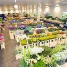 Unternehmen 1 Bild WESSELING GMBH Produktion und Vertrieb von Pflanzen am Köln NW