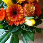 Unternehmen 1 Bild WITZEMANN-BLUMEN Produktion und Vertrieb von Pflanzen am Stuttgart BW