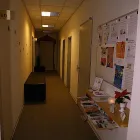 Unternehmen 3 Bild YOGA VIDYA ZENTRUM KARLSRUHE Yogaschulen, Gymnastikschulen am Karlsruhe BW