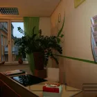 Unternehmen 8 Bild YOGA VIDYA ZENTRUM KARLSRUHE Yogaschulen, Gymnastikschulen am Karlsruhe BW