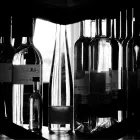 Unternehmen 2 Bild ZWÖLFGRAD SEKT UND WEIN Weinhändler und -Importeur am Köln NW