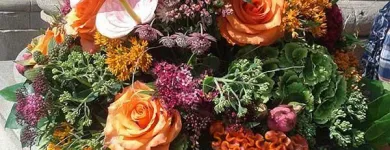 Unternehmen 3 Bild BLUMEN FISCHER Produktion und Vertrieb von Pflanzen am Stuttgart BW