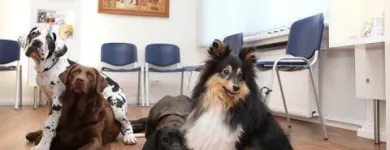 Unternehmen 1 Bild DR. JASPERS & ENGLERT, KLEINTIERPRAXIS Ärzte am Wuppertal NW