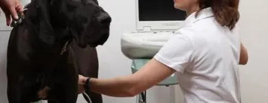Unternehmen 7 Bild DR. JASPERS & ENGLERT, KLEINTIERPRAXIS Ärzte am Wuppertal NW