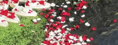 Unternehmen 5 Bild ERSTES LUDWIGSHAFENER BESTATTUNGSINSTITUT HENSS GMBH Soziales & Gesellschaft am Ludwigshafen RP