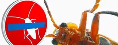 Unternehmen 2 Bild FÜRST SCHÄDLINGSBEKÄMPFUNG Service & Dienstleistung am Düsseldorf NW