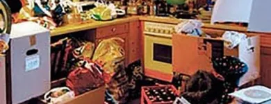 Unternehmen 4 Bild FÜRST SCHÄDLINGSBEKÄMPFUNG Service & Dienstleistung am Düsseldorf NW