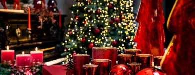 Unternehmen 1 Bild H. U. SCHEULEN GMBH & CO. KG Produktion und Vertrieb von Pflanzen am Mönchengladbach NW