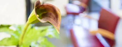 Unternehmen 4 Bild HAAR TEAM 42 INH. RUTH TJEERDSTRA Friseursalons am Mönchengladbach NW