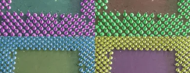 Unternehmen 5 Bild HAMAREC GMBH Service & Dienstleistung am Essen NW