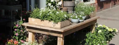 Unternehmen 1 Bild HOLGER BREMER BLUMENLADEN & FLORIST IN BERGEDORF Produktion und Vertrieb von Pflanzen am Hamburg HH