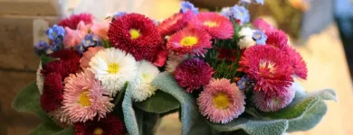 Unternehmen 2 Bild HOLGER BREMER BLUMENLADEN & FLORIST IN BERGEDORF Produktion und Vertrieb von Pflanzen am Hamburg HH