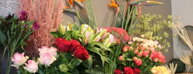 Unternehmen 6 Bild HOLGER BREMER BLUMENLADEN & FLORIST IN BERGEDORF Produktion und Vertrieb von Pflanzen am Hamburg HH