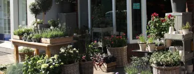 Unternehmen 8 Bild HOLGER BREMER BLUMENLADEN & FLORIST IN BERGEDORF Produktion und Vertrieb von Pflanzen am Hamburg HH