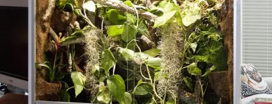 Unternehmen 6 Bild HOPPE-TERRARIENBAU-EXCLUSIV Zoohandlungen am Hilden NW
