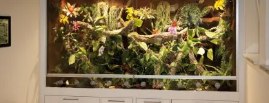 Unternehmen 9 Bild HOPPE-TERRARIENBAU-EXCLUSIV Zoohandlungen am Hilden NW